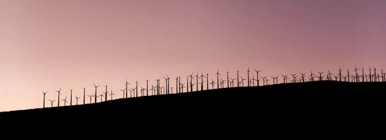 Leading Portugal’s Transition To Renewable Energy